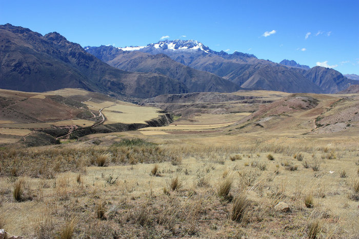 Conoce las Lomas de Lucumo cerca de Lima