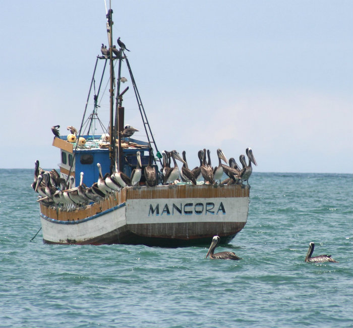 Mejores Playas en Perú: Máncora